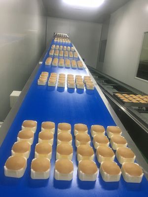 CE SUS304 Semi Automatic Sponge Cupcake Production Line