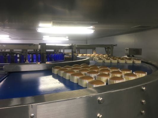 CE SUS304 Semi Automatic Sponge Cupcake Production Line