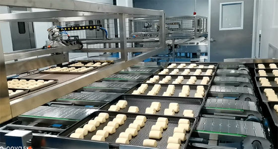 Trays Returning Single Layer Slat Top Food Industry Conveyors